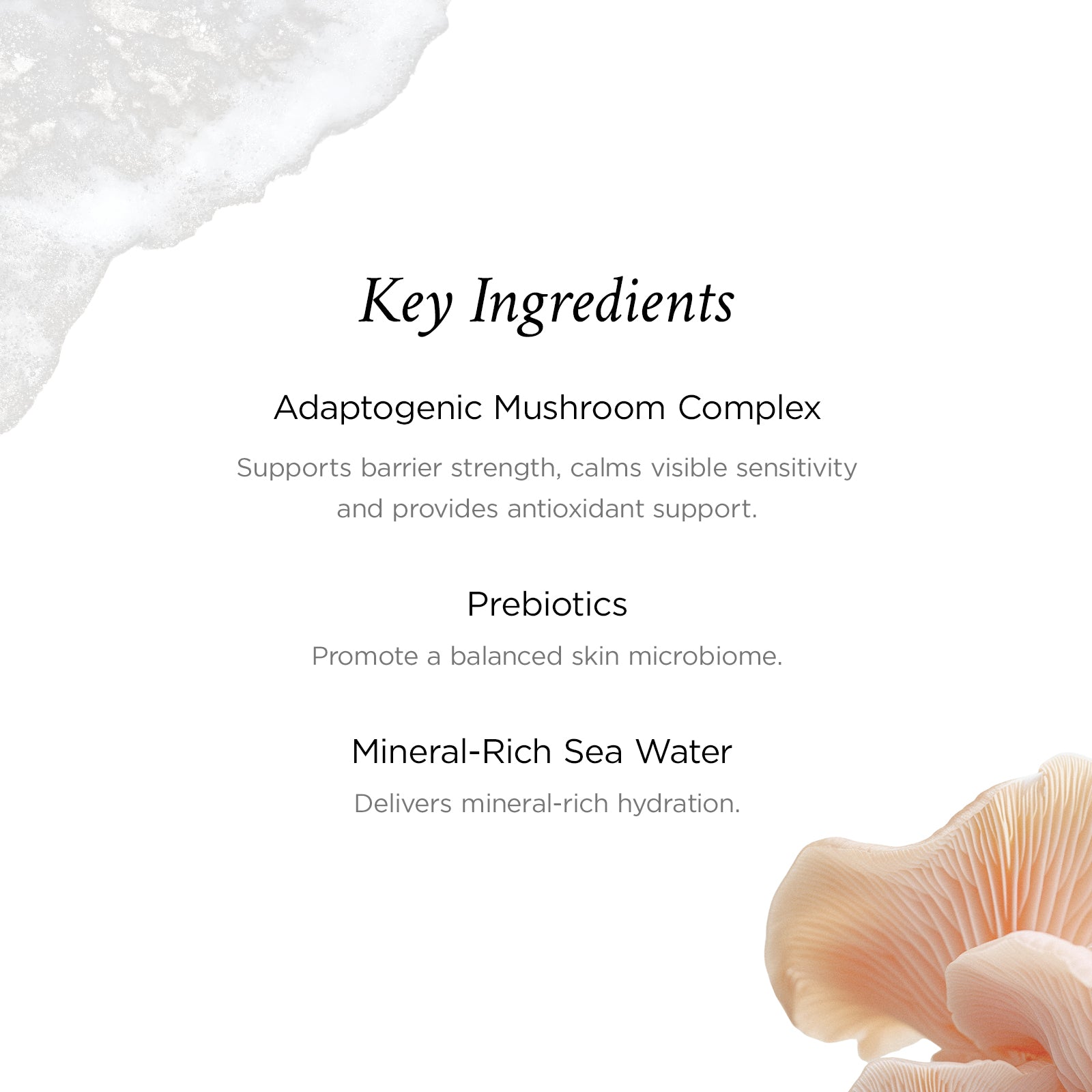 List of key ingredients with a mushroom and sea water texture on a white background
