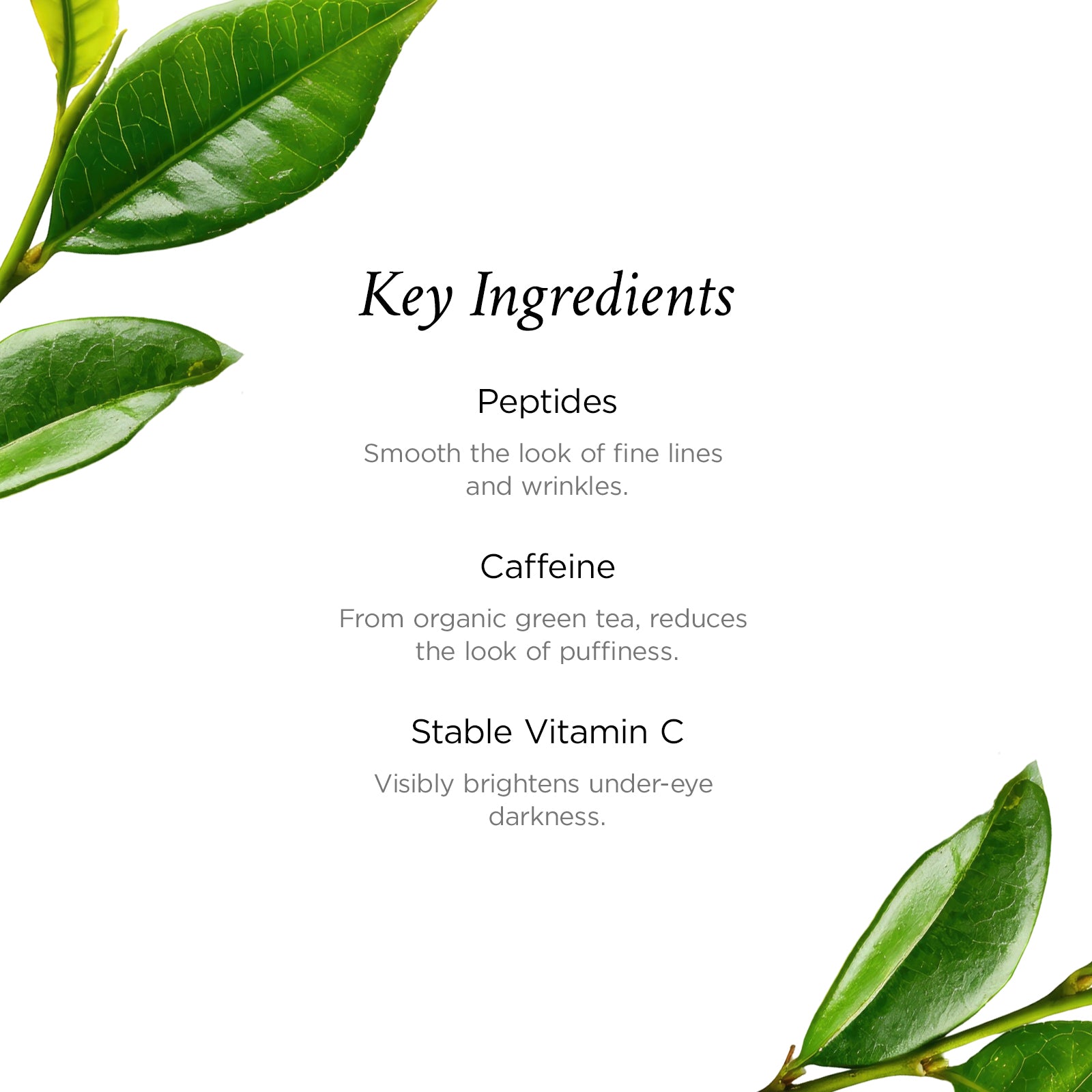 List of key ingredients with green leaves on a white background