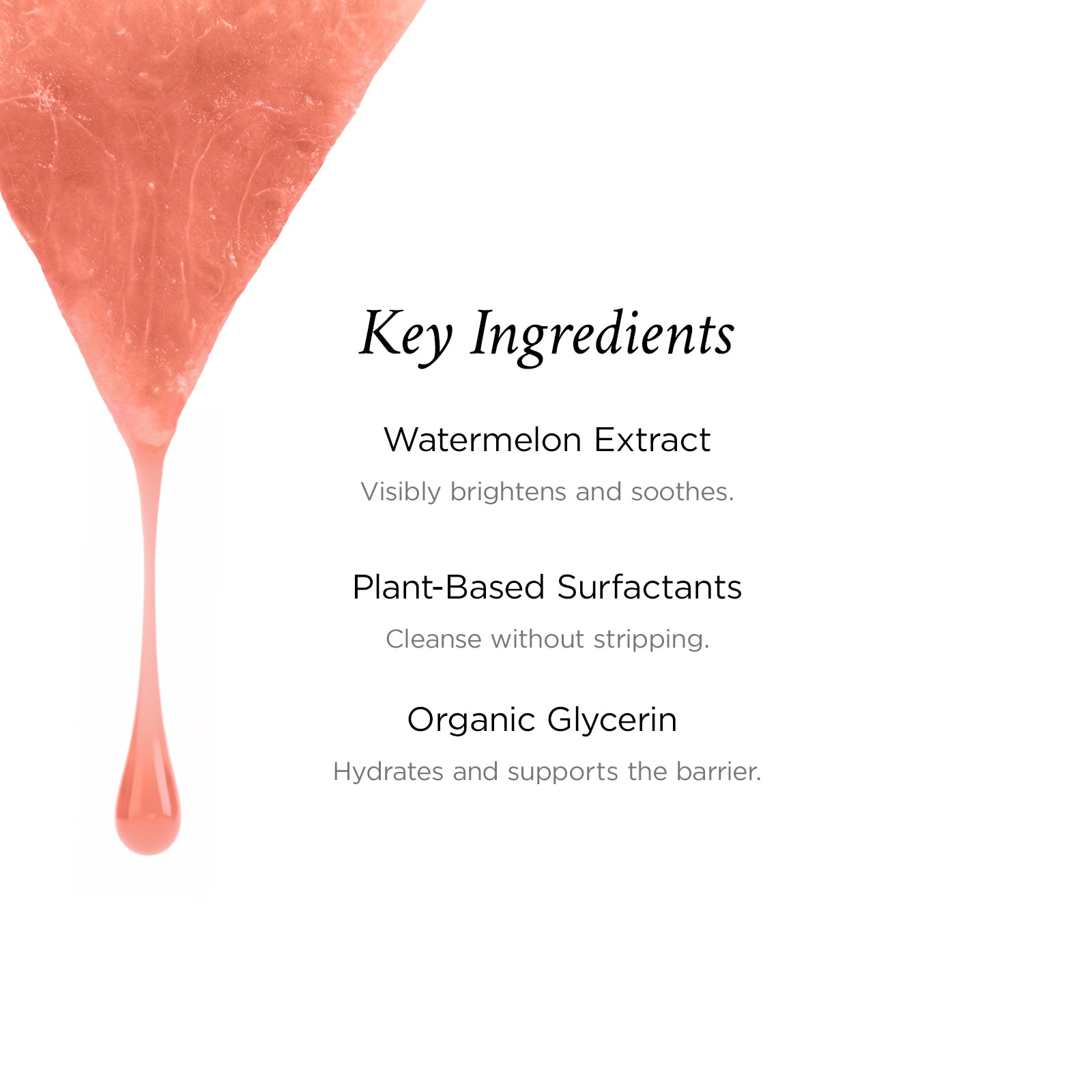 Gentle Facial Cleanser